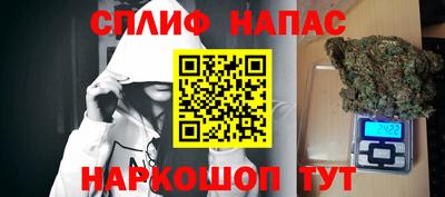 гашик Будённовск