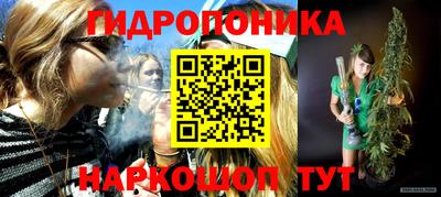 гашик Будённовск