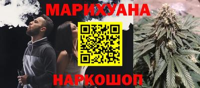 гашик Будённовск