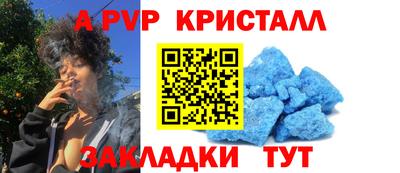 гашик Будённовск