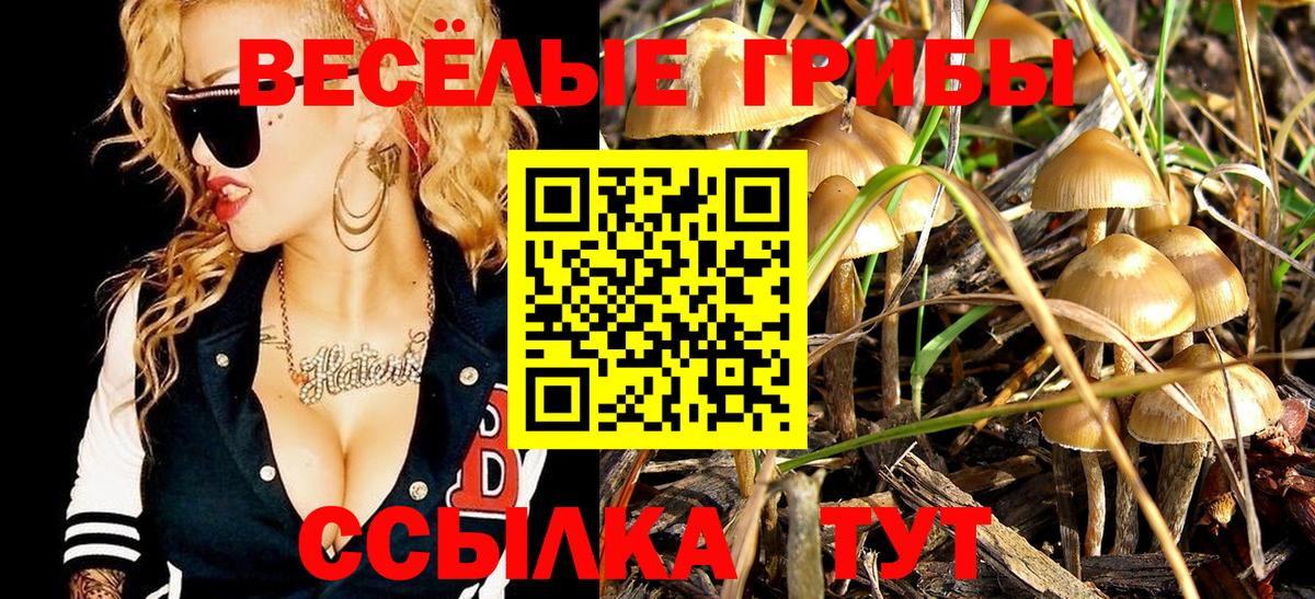 Рубцовск  Галлюциногенные грибы MAGIC MUSHROOMS  Вход с VPN 
